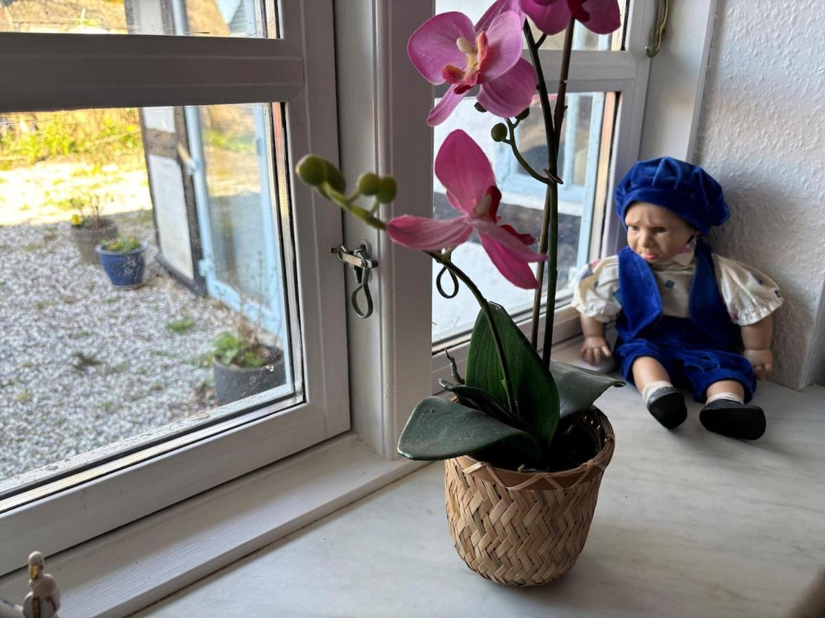 Troldehuset Villa Bogense Eksteriør billede