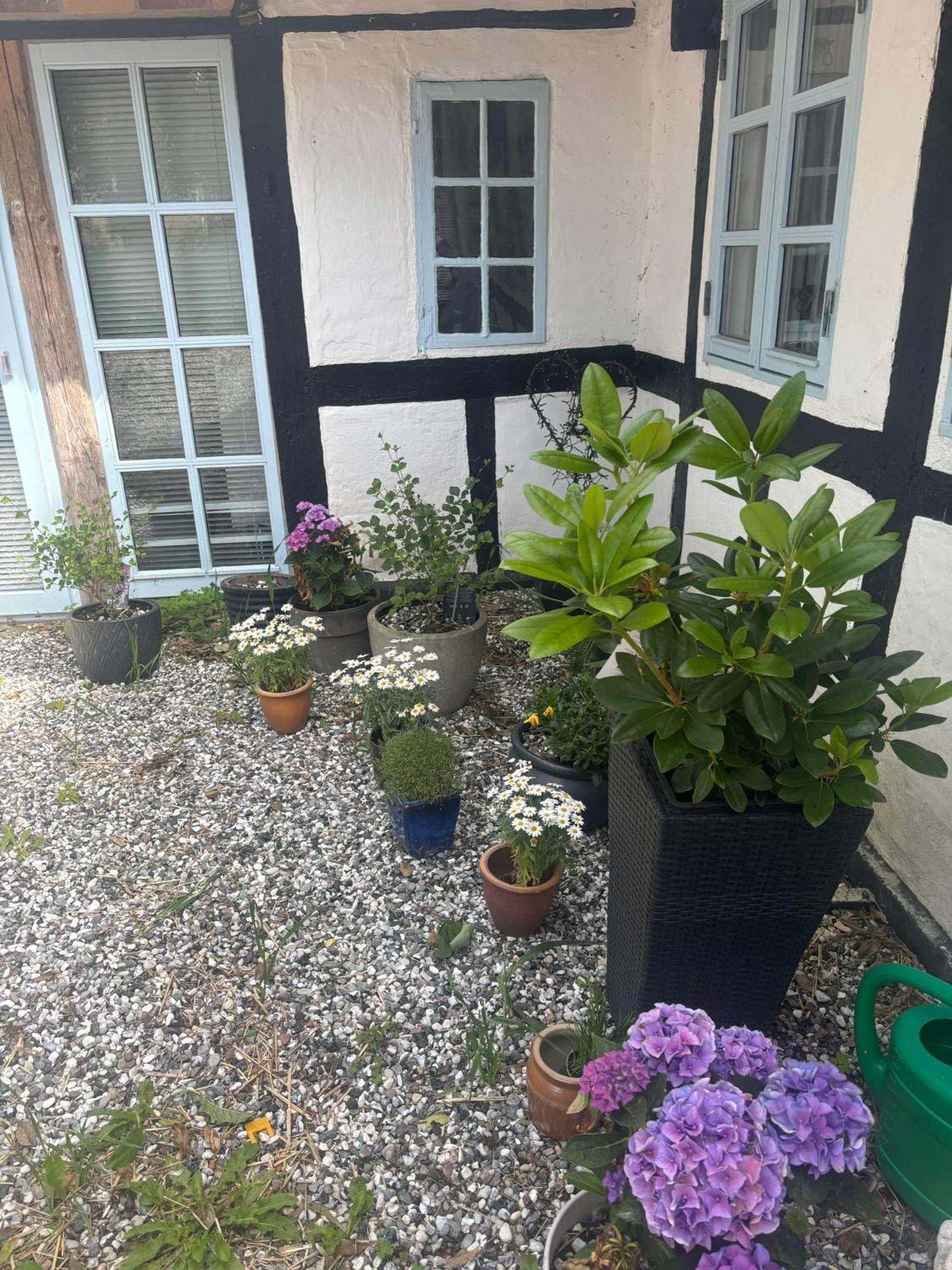 Troldehuset Villa Bogense Eksteriør billede
